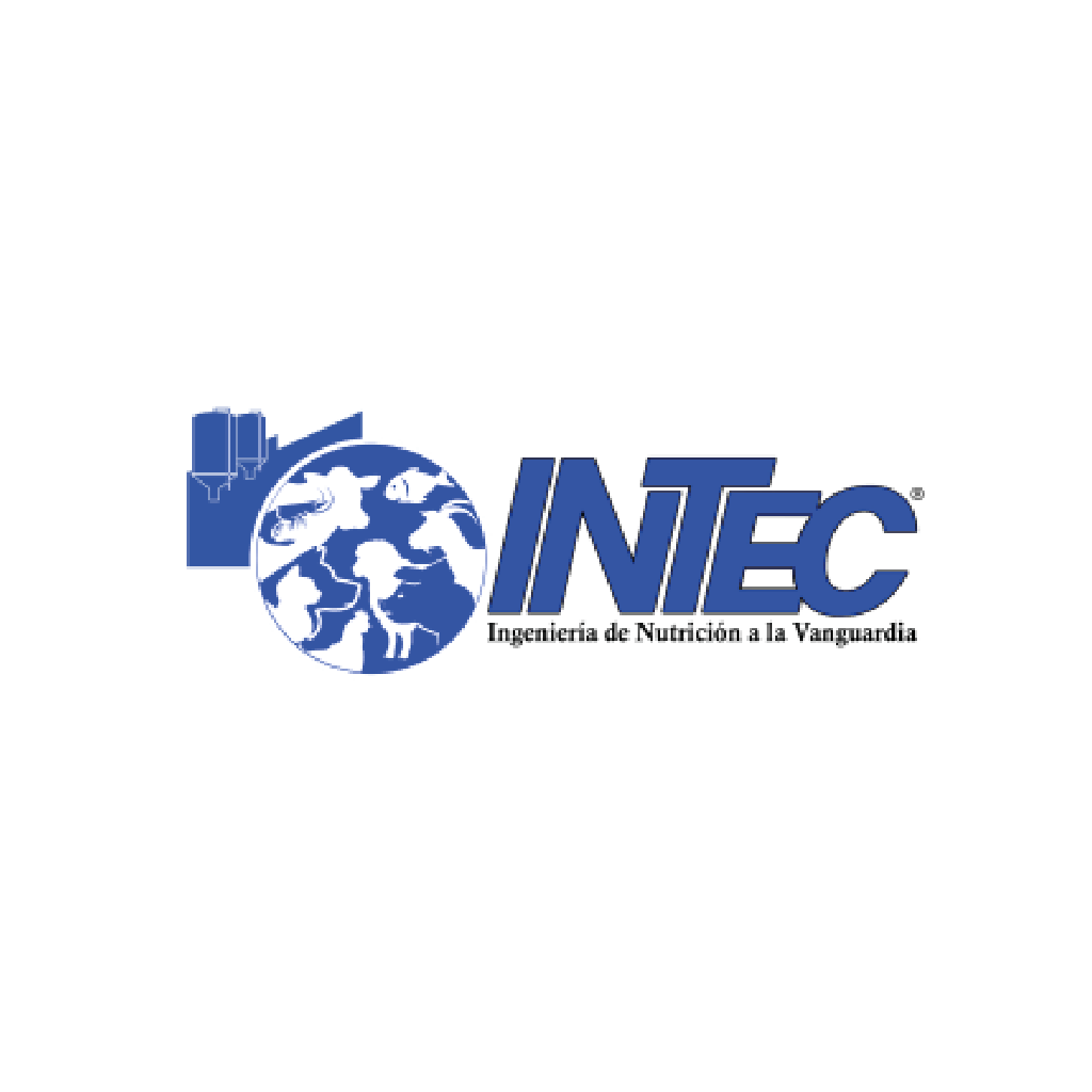 Logo de intec_logo